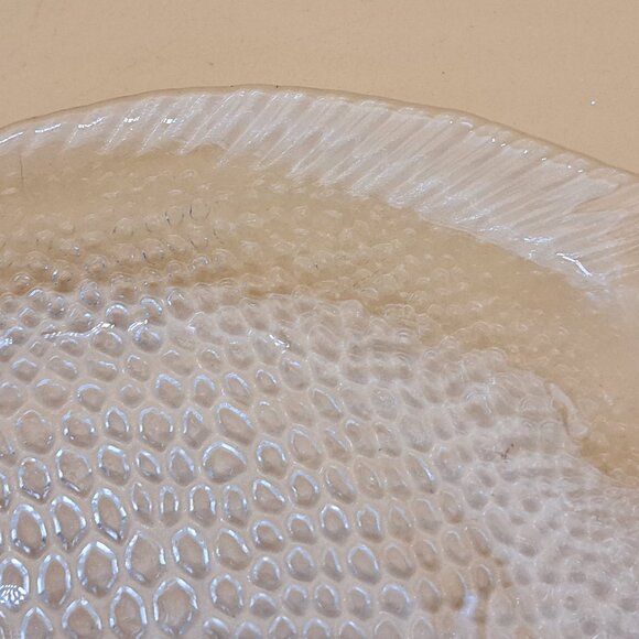 Set of 6 Arcoroc Glass Fish Plates - Picture 10 of 11